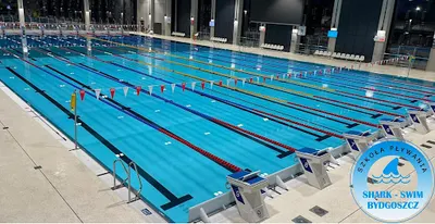 SHARK-SWIM Bydgoszcz Szkoła Pływania